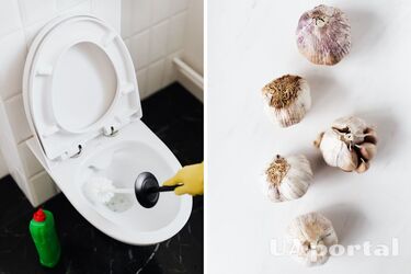 Як очистити туалет часником - часник для унітазу
