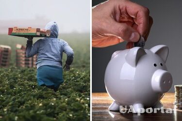 Чи зараховується до стажу для пенсії сезонна робота