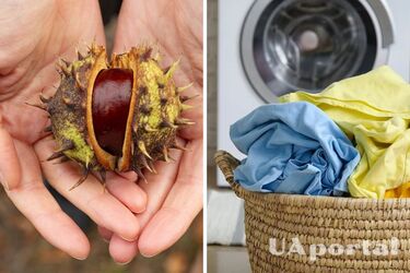 Для чего в стиральную машинку класть каштаны: действенный лайфхак
