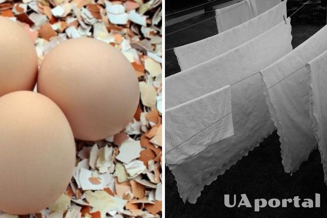 Why put eggshells in the freezer: a life hack for washing
