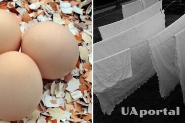 Для чего яичную скорлупу класть в морозильник: лайфхак для стирки