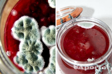 Заморозьте и прокипятите: что делать с вареньем, на котором появилась плесень