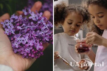 Встигніть приготувати: як зварити бузковий мед