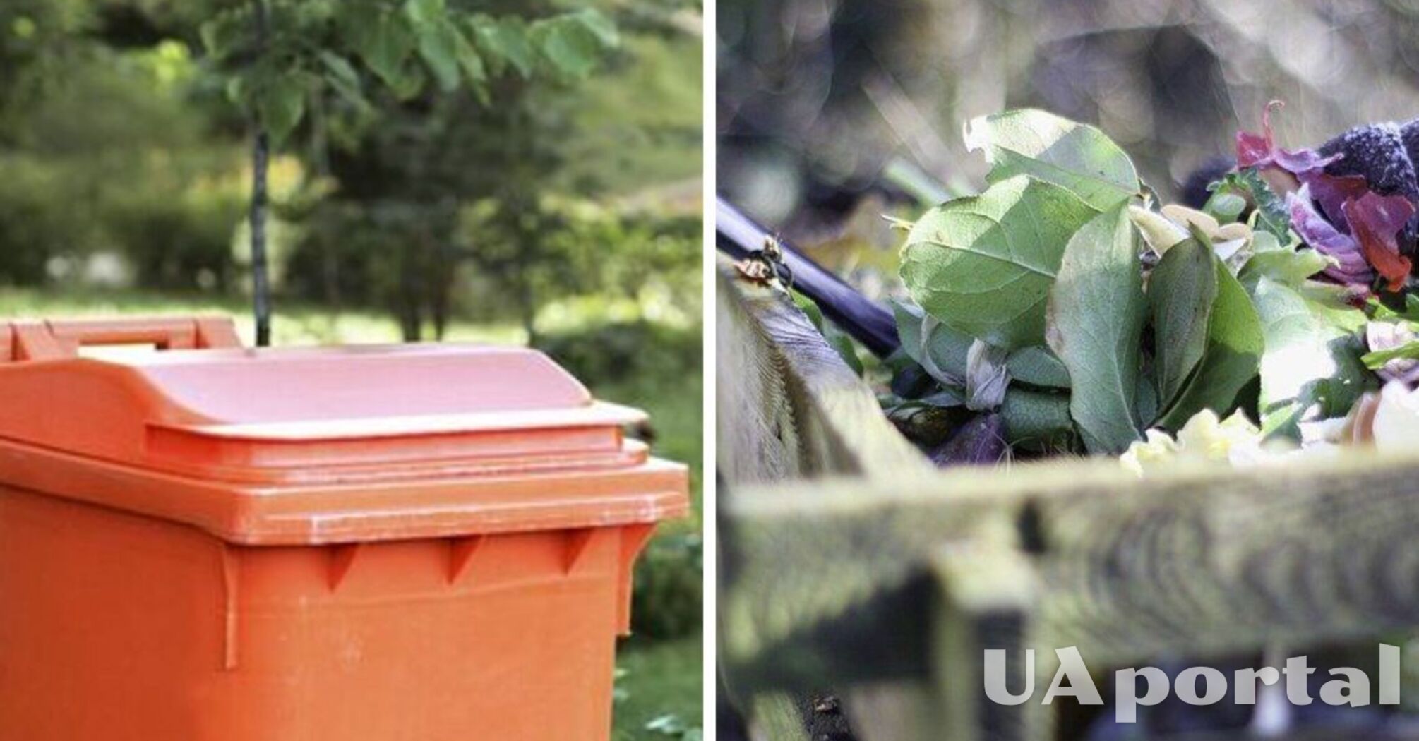 Як відлякати мух і комах від смітника на дачній ділянці