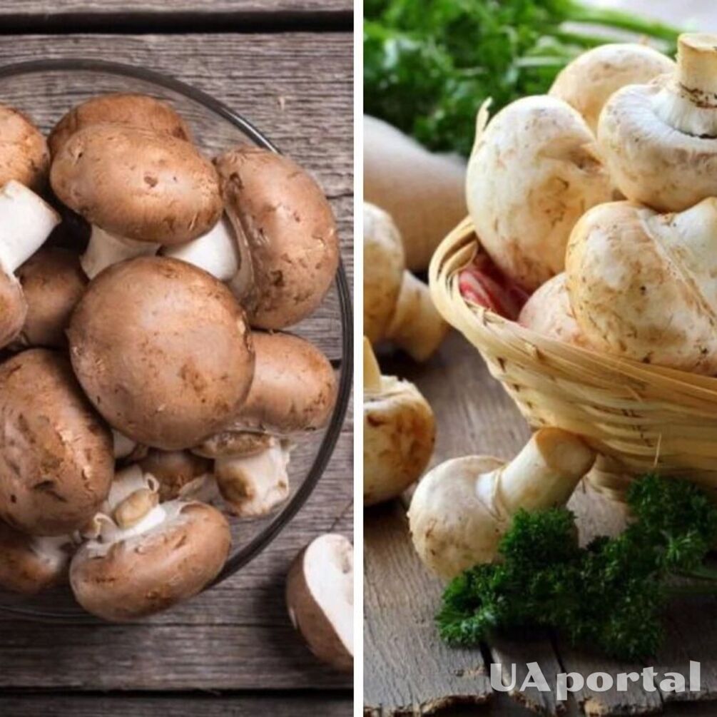 Як швидко очистити печериці від бруду?