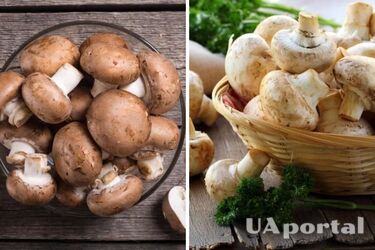 Как быстро очистить шампиньоны - действенный лайфхак с мукой