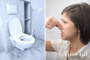 Как избавиться от плохого запаха из унитаза