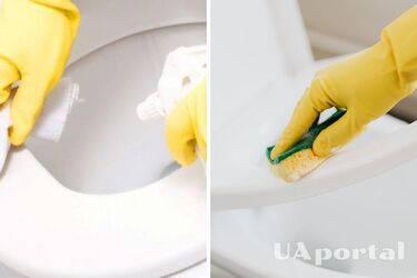 Как отбелить желтое сиденье унитаза: простые лайфхаки
