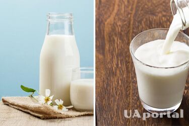 Соблюдайте температурный режим и выбирайте эмалированную посуду: как правильно кипятить молоко