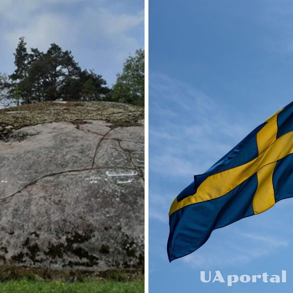 Giant rock paintings of the 7th-8th century BC discovered under moss in Sweden (photo)