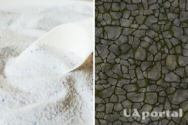 Пищевая сода и порошок для стирки: как быстро убрать мох из тротуарной плитки в саду