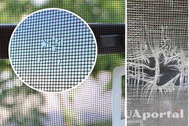 Как заклеить дыру в сетке против насекомых