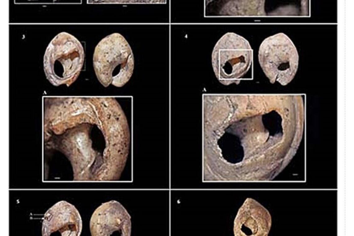 World's oldest jewellery found in Africa: it was a form of non-verbal communication 