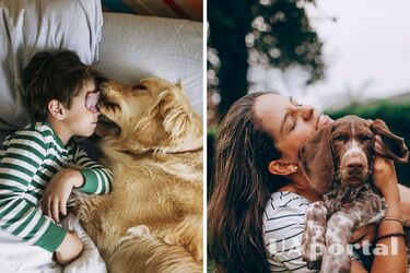 Why you should get a dog