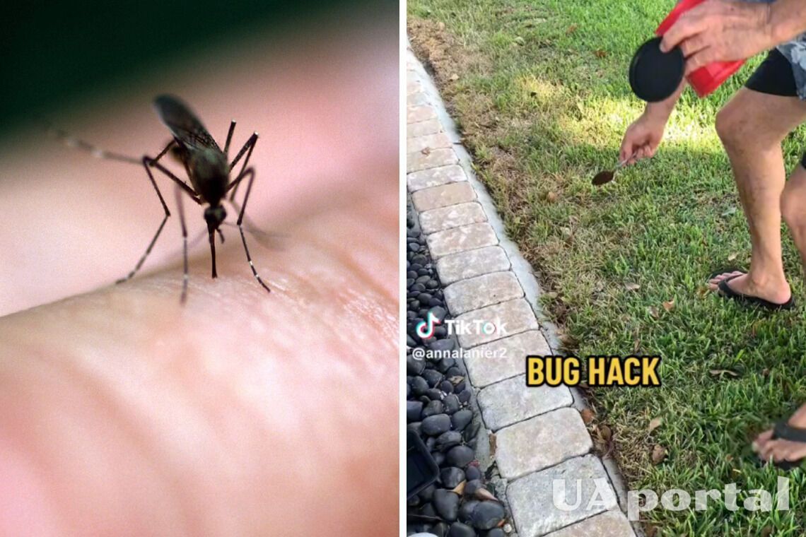 How to repel mosquitoes with coffee grounds