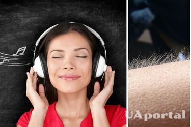 Що таке фрісон