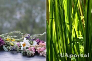 Трійця-2023: які трави потрібно святити і навіщо