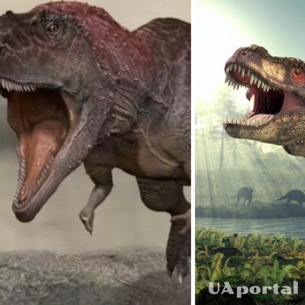 Geniuses of their time: scientists dispel the myth of low IQ of dinosaurs 
