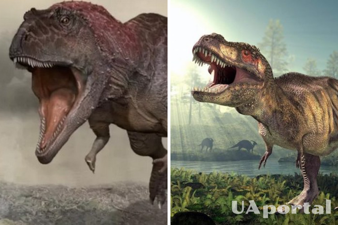 Geniuses of their time: scientists dispel the myth of low IQ of dinosaurs 