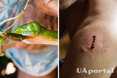 Давня традиція африканських племен: що таке ритуал Камбо та яку небезпеку для людського життя він несе