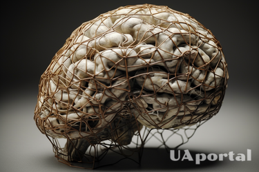 Как сохранить мозг здоровым и молодым: полезные советы