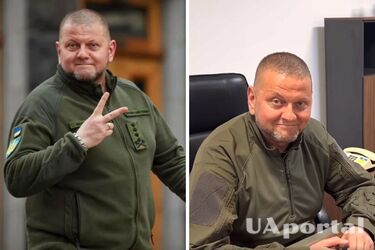 'Bad news for the Russian propaganda': Zaluzhnyi debunks myths about injuries (video)