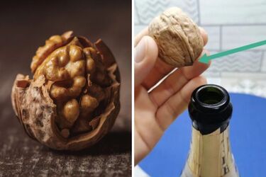 Как аккуратно почистить грецкий орех от скорлупы