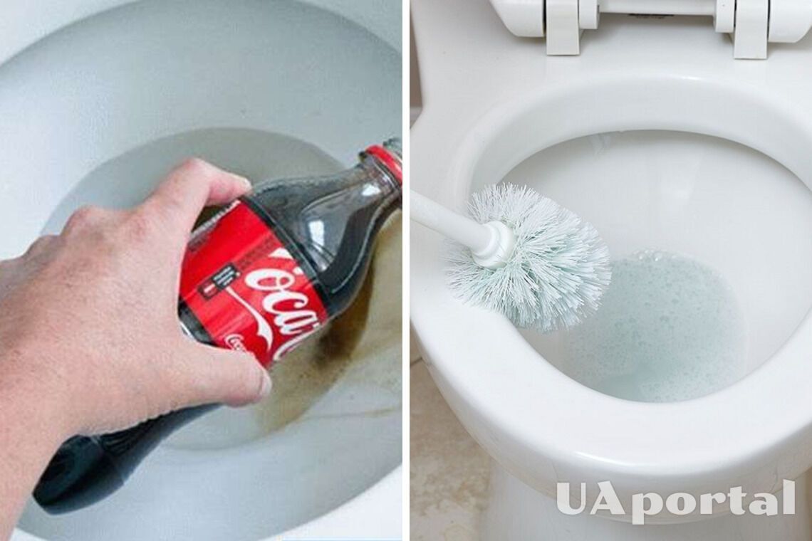 Coca-Cola and dishwashing liquid: how to clean the toilet without a plunger