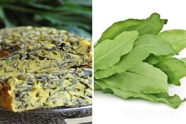 Праздничный пирог из щавеля: приготовьте вкусное блюдо на Троице за 30 минут