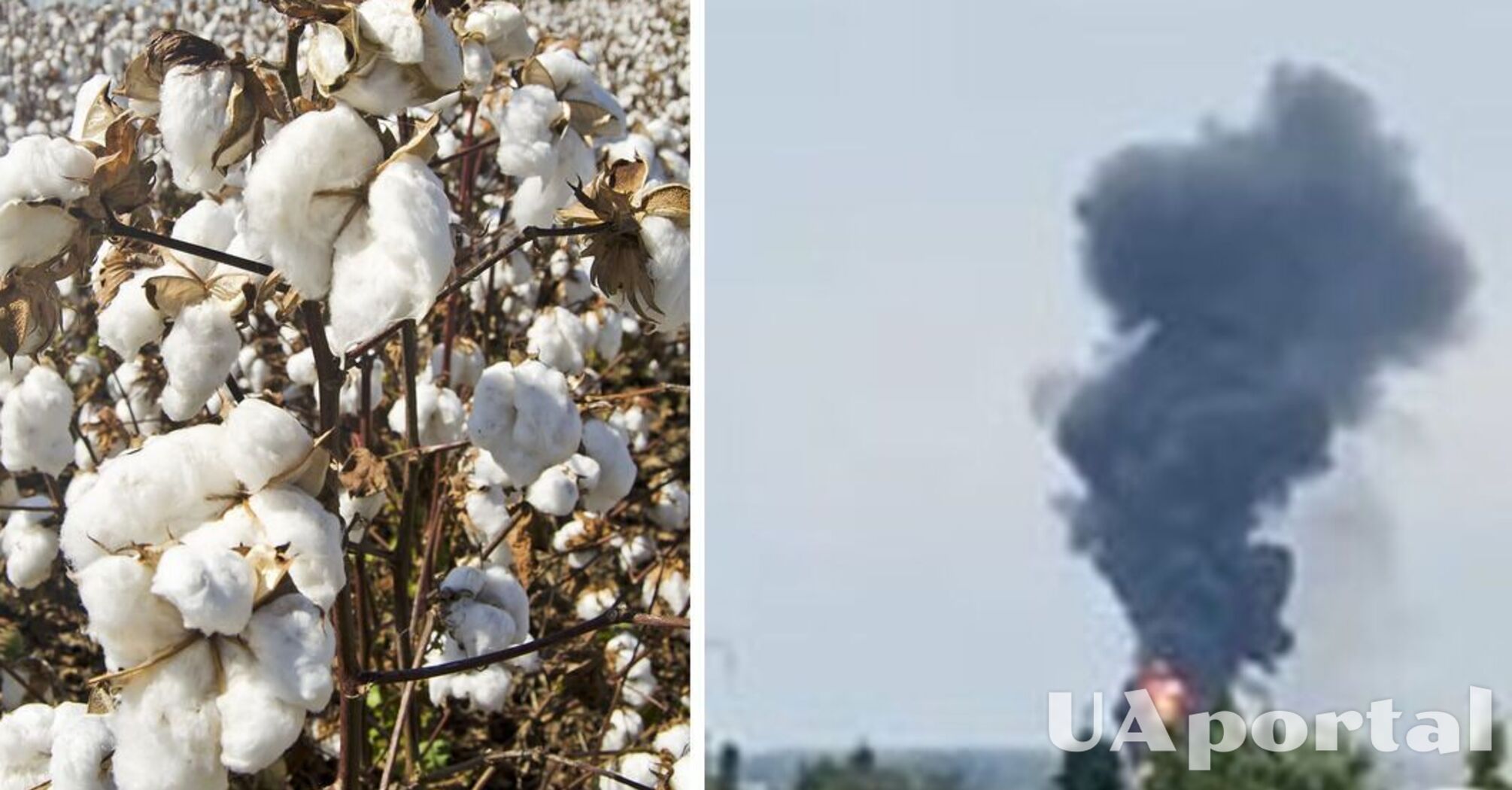 У Бєлгородській області горять два підприємства та пошкоджена підстанція (відео)