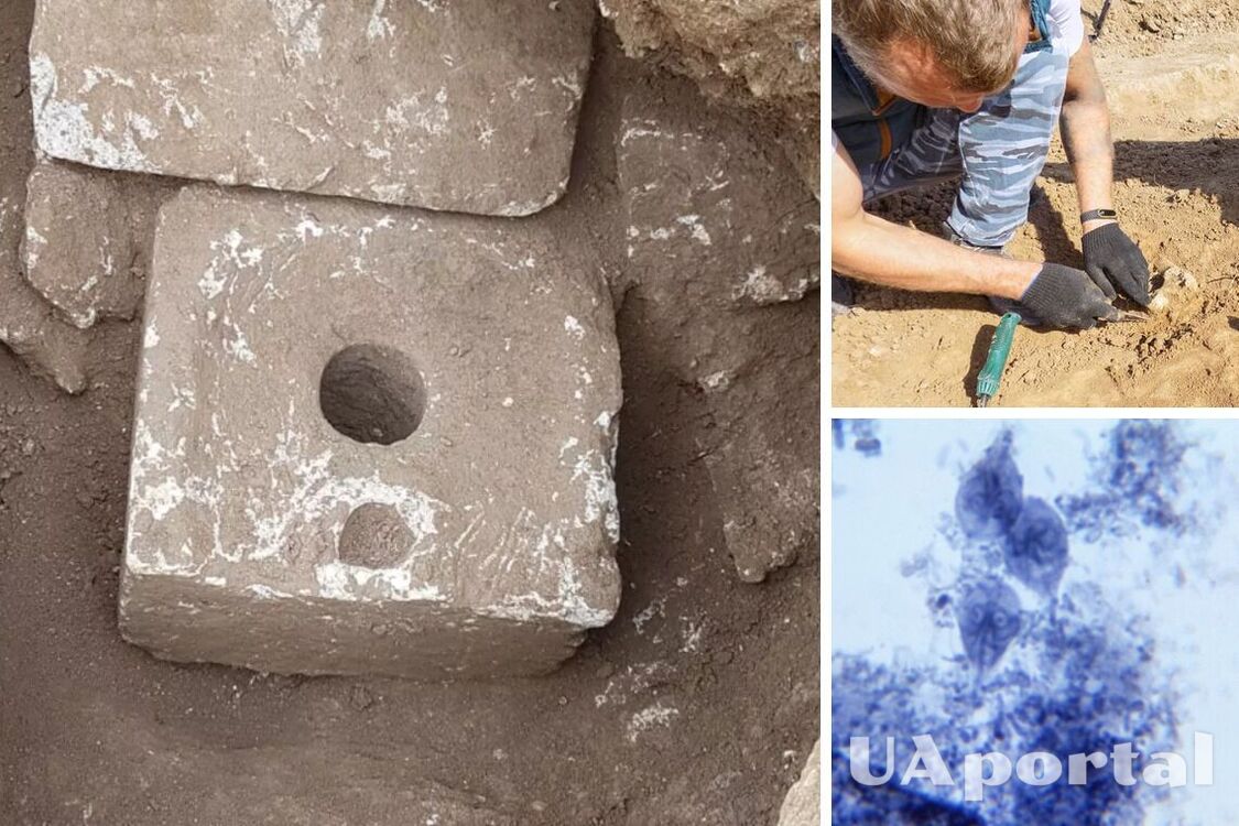 Scientists examine 2500-year-old excrement and make an unexpected discovery