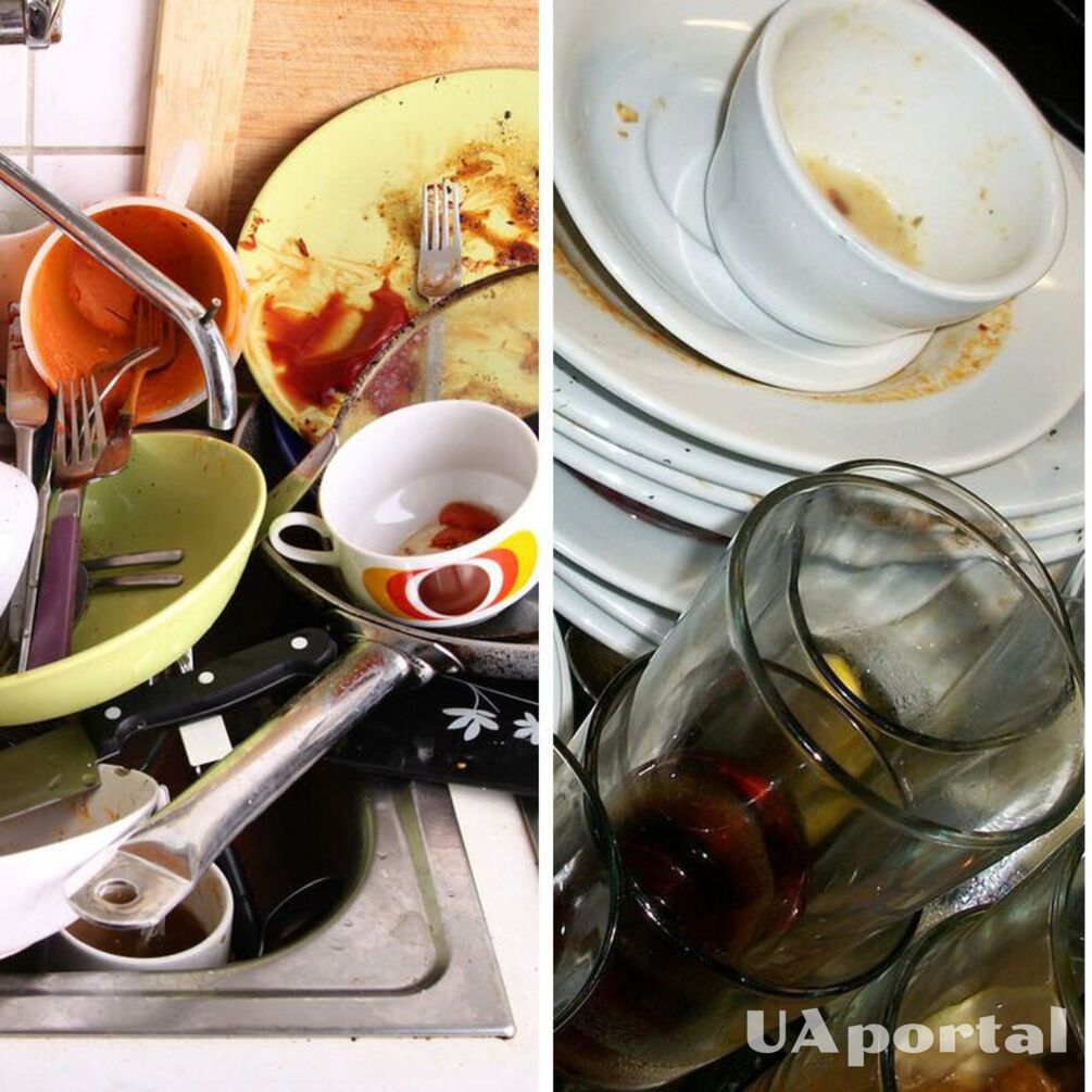 Микробы и скандалы: Почему посуду нельзя оставлять грязной на ночь