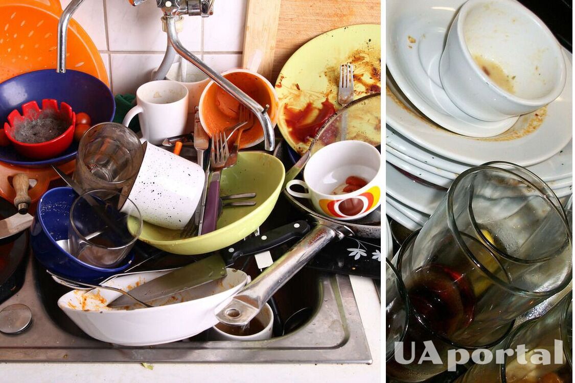 Микробы и скандалы: Почему посуду нельзя оставлять грязной на ночь