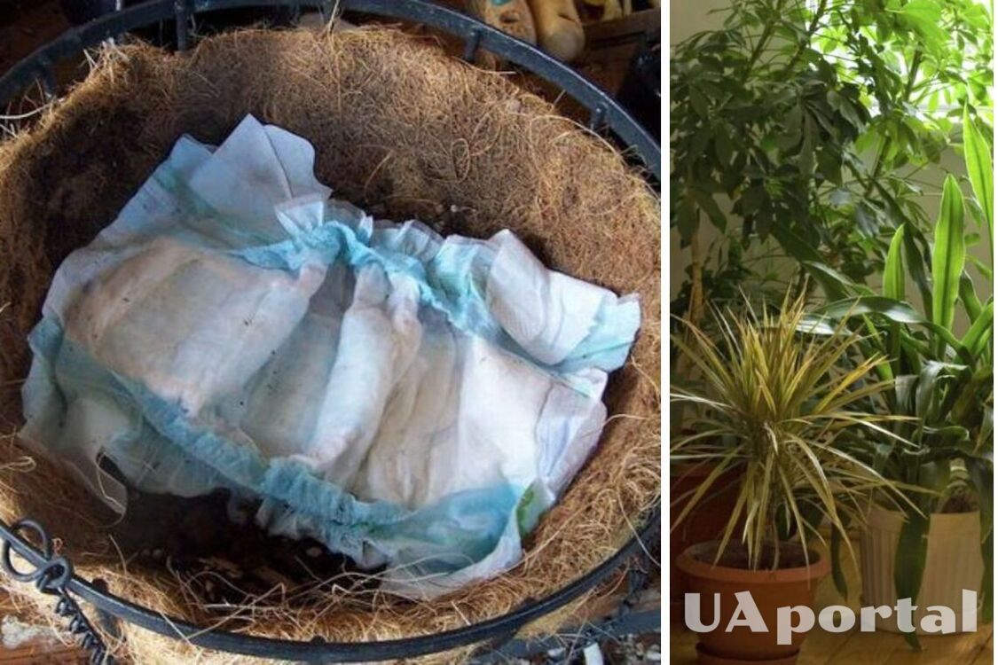 Why put a diaper on the bottom of a pot with houseplants