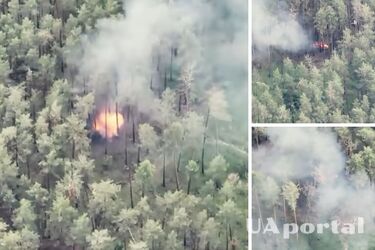 Прикордонники показали вибухові кадри підриву ворожого військового складу (відео)