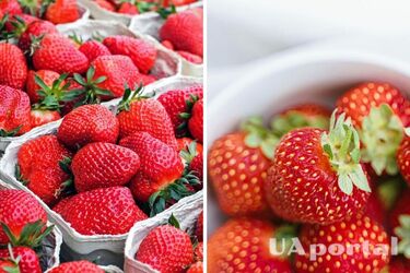 Як зберігати полуницю, щоб вона довше не псувалася