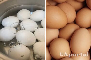 Зачем трясти яйца перед варкой: результат вас удивит