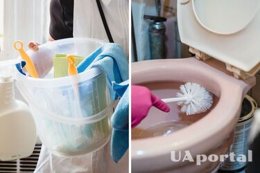 Засоби для дезінфекції унітаза - як позбутися неприємного запаху в туалеті - як швидко почистити унітаз
