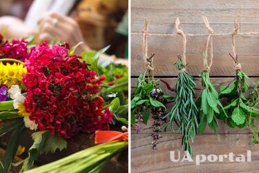 Навіщо красти зілля у сусідів