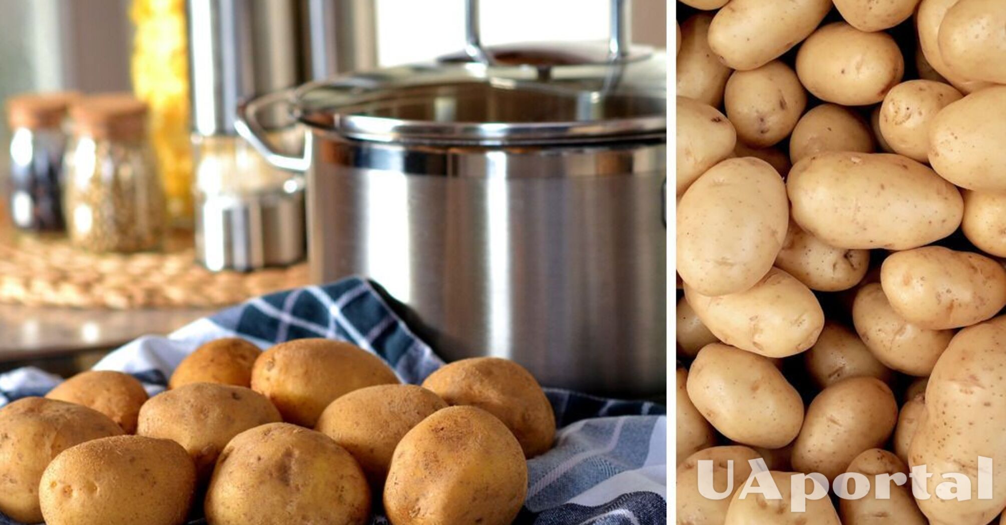 8 популярних тверджень про картоплю, які виявилися брехнею
