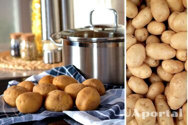 Мифы о картофеле - чем полезен картофель