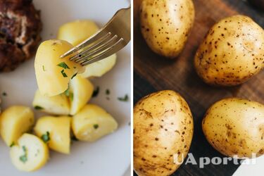 Как варить картофель – что делать, что картофель не разваливался – зачем уксус добавлять в картофель