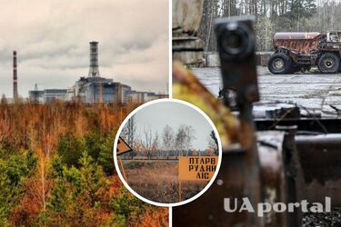 Стало відомо, як Чорнобиль 'покарав' росіян, які окопувалися в Рудому лісі під час наступу на Україну