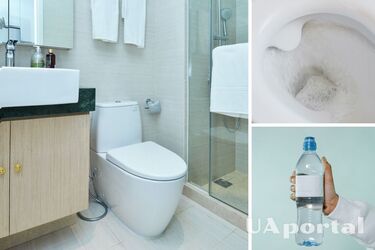 Как промыть унитаз пластиковой бутылкой и другие способы очистки унитаза от засорения