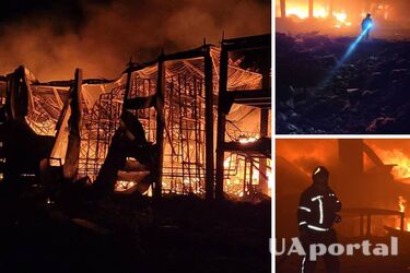 Окупанти вночі запустили по Київщині 35 дронів і 8 ракет по Одещині: подробиці обстрілів (фото)