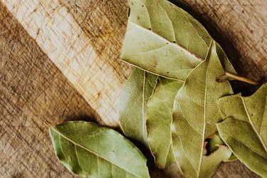Залучите удачу та гроші: як використати лавровий лист не за призначенням
