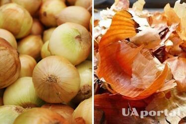 Укрепляет иммунную систему растений: как сделать удобрение из луковой шелухи