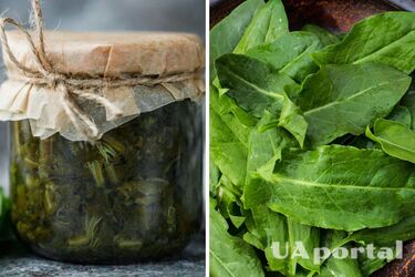 Як правильно консервувати щавель для зеленого борщу взимку: рецепт Клопотенка
