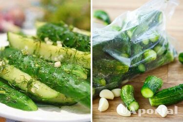 Можно есть через 30 минут: быстрый рецепт малосольных огурцов в пакете