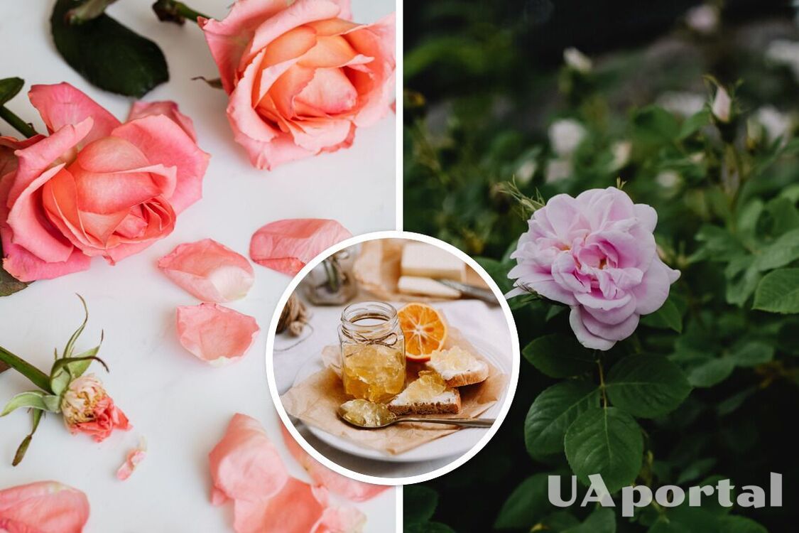 Невероятно вкусное и ароматное: как правильно сварить варенье из лепестков роз